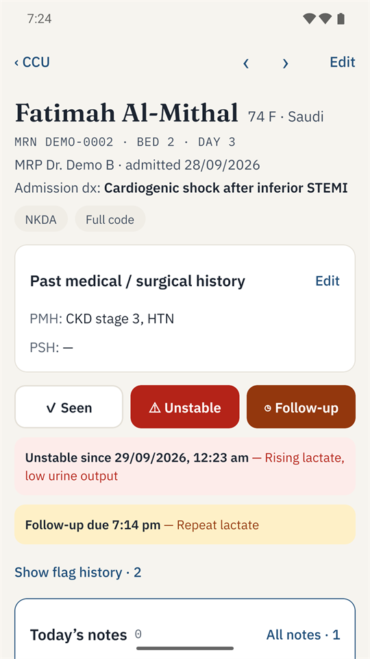 Patient page with history, flags and follow-up for a made-up patient.